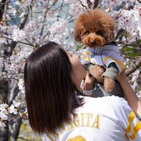 ⚾️みやちゃん@野球用⚾️ (@miya1975hawks) Twitter profile photo