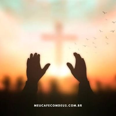 wilfred80265849's profile picture. 