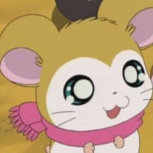 中国語学科卒/日本のメーカーで中国と関わる仕事🐰ྀི...💨毎日日中の狭間でもがき中...^ᴗ.ᴗ^基本DMは返信しません。✍🏻〰︎︎日常の中の一部を切り取っているだけに過ぎないので、投稿だけでなんでもかんでも判断しないで~(#^.^#)