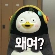 whanana09's profile picture. 멸공