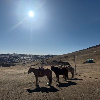 Javhlan0801's profile picture. 