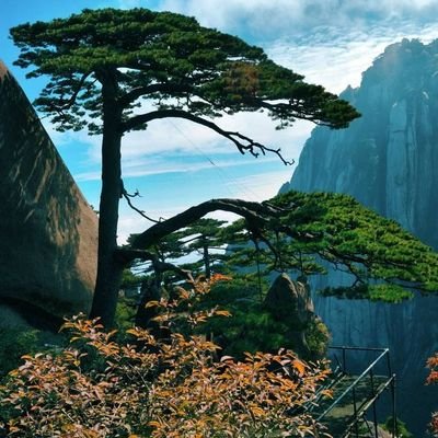 mengfanliaoPi's profile picture. 