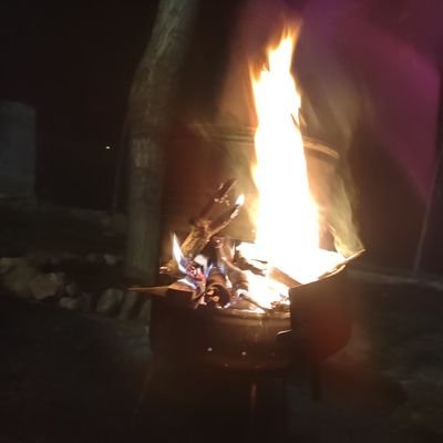 angelodop88's profile picture. 