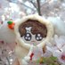 모꾸 어미🌸 (@mokku_kookmom) Twitter profile photo 모꾸 어미🌸 (@mokku_kookmom) Twitter profile photo