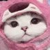 HellDeer (@helldeer_) Twitter profile photo HellDeer (@helldeer_) Twitter profile photo