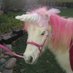phoebe❀ edtwt (@planetphoebe_) Twitter profile photo phoebe❀ edtwt (@planetphoebe_) Twitter profile photo