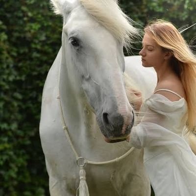 Blueyellowsis's profile picture. 