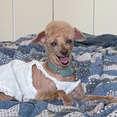 zxcvbn___m's profile picture. 