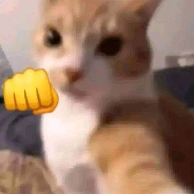 PhmVTrung285421's profile picture. 