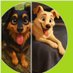 Debby und Molly (@debbyundmehr) Twitter profile photo Debby und Molly (@debbyundmehr) Twitter profile photo