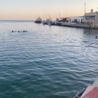 Alfaress (@hunter557766) Twitter profile photo