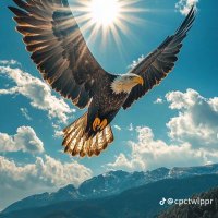 Gibrel (@gibrel345669) 's Twitter Profile