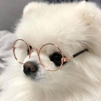 亭月乔 (@qi_wang63713) 's Twitter Profile