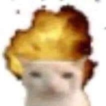 kgers_0's profile picture. boobs.