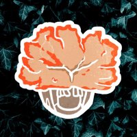 Oysters Clams & Cockles (@clamsandcockles) 's Twitter Profile Photo Oysters Clams & Cockles (@clamsandcockles) 's Twitter Profile Photo