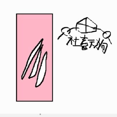 トモP(NZネットワーク)さんのプロフィール画像