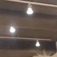 xwsjhp (@xwsjhp2004) 's Twitter Profile