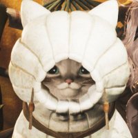 み° (@midocha_m) 's Twitter Profile