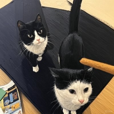 Middle-aged tuxedo and bowl cut house cats. Partners in crime. 🇳🇴
