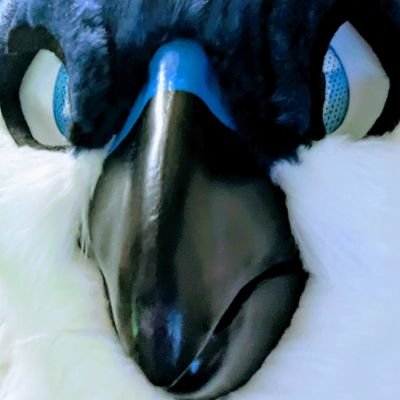 Part time birb and part time avali! Just trying to find my life's path and make cool little things along the way. bear with me. Local good birb /31/ 🐦
