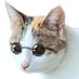 epιpυ🐈💦ニャー🥁ドドドドドド (@epipumh) Twitter profile photo epιpυ🐈💦ニャー🥁ドドドドドド (@epipumh) Twitter profile photo