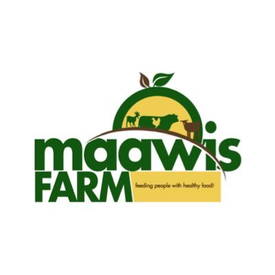 agribusiness growing plants 🪴 n fruits 🍉 animal husbandry (rentals of tractors and heavy machinery equipments for land preparations n clearing )
