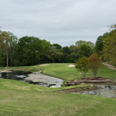 JorgeAr28612871's profile picture. 