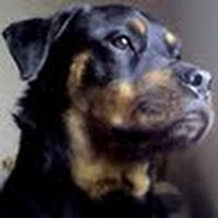 jamesgirou's profile picture. This space for rent.