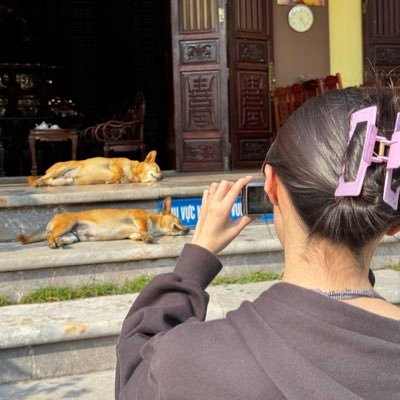 bass____ch__2's profile picture. マーチングと写真とアイドルと地理と