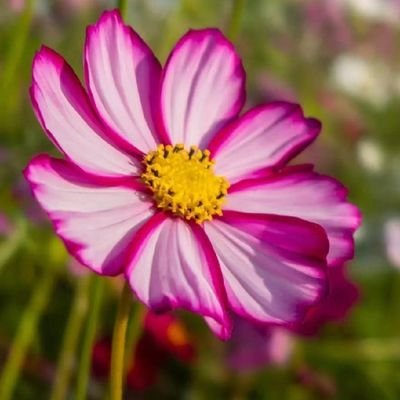 xiaoliu13141's profile picture. 爱生活，爱一切美好！