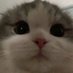 eeee (@hifevr) Twitter profile photo eeee (@hifevr) Twitter profile photo