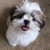 Allison Becker (@allisonbec78098) Twitter profile photo Allison Becker (@allisonbec78098) Twitter profile photo