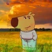 PessoaSix's profile picture. nothing gonna to plan in this cursed world