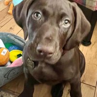 MisterMurph (@mistermurph) 's Twitter Profile Photo