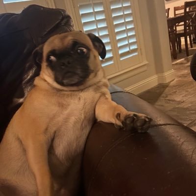 drewwoat's profile picture. #feminist #MFFL #DallasCowboys