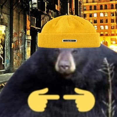 VelocityBear Profile