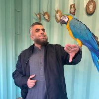 Ahmed Boshreda (@ahmedboshreda) 's Twitter Profile