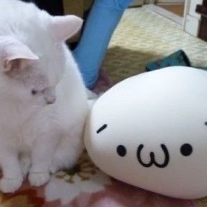 kungdyubbang's profile picture. 따쿠따쿠