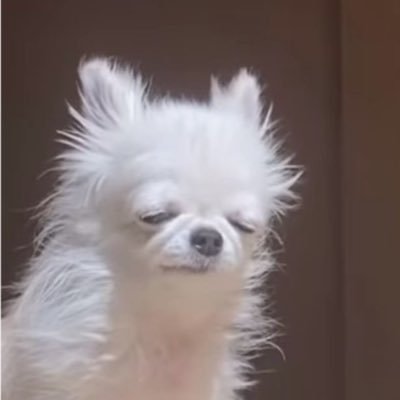 ymykdm Profile Picture