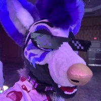 V-Foxo 🔜 FWA (@v_foxo_) 's Twitter Profile
