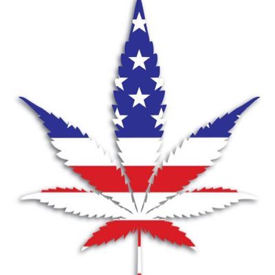 MagaPotHead's profile picture. MAGA. Voted for Trump 3 times. Proud Patriot. Military wife. Retired.