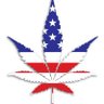 MagaPotHead's profile picture. MAGA. Voted for Trump 3 times. Proud Patriot. Military wife. Retired.