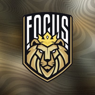 “Unleashing our passion, Focused on Victory”. 🏆 Focus 🏴 - Competing in @OfficialVPG @VPGUK @VPGPremier - 🌎 2024 and 2025 VPG LAN Event! 🏟️