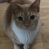 melonrseekir (@rseekirr) 's Twitter Profile