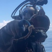 Patrick Harkness (@rolldatwave) 's Twitter Profile Photo Patrick Harkness (@rolldatwave) 's Twitter Profile Photo