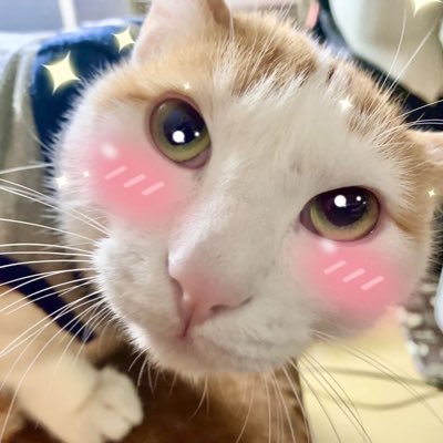 「優然世界」というバンドと出会い。生きるという事を、そのためのある物を感じさせてもらったので、勝手に応援させてもらってます。好きなアーティストコラージュ写真も勝手に創ってます!最近、AI画像にハマってます。こちらも勝手に創らせてもらってます。 https://t.co/OqW2Et1ZnZ
