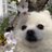 jamongpom's profile image