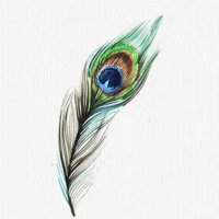 Brijwasi (@brijdesii) 's Twitter Profile