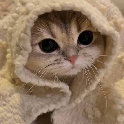 erzzcka's profile picture. c’est la vie