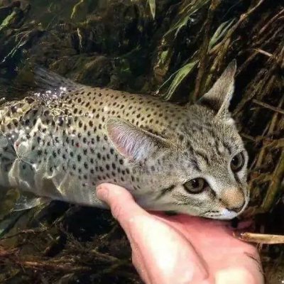 throwdemgunz_'s profile picture. glo glo glo